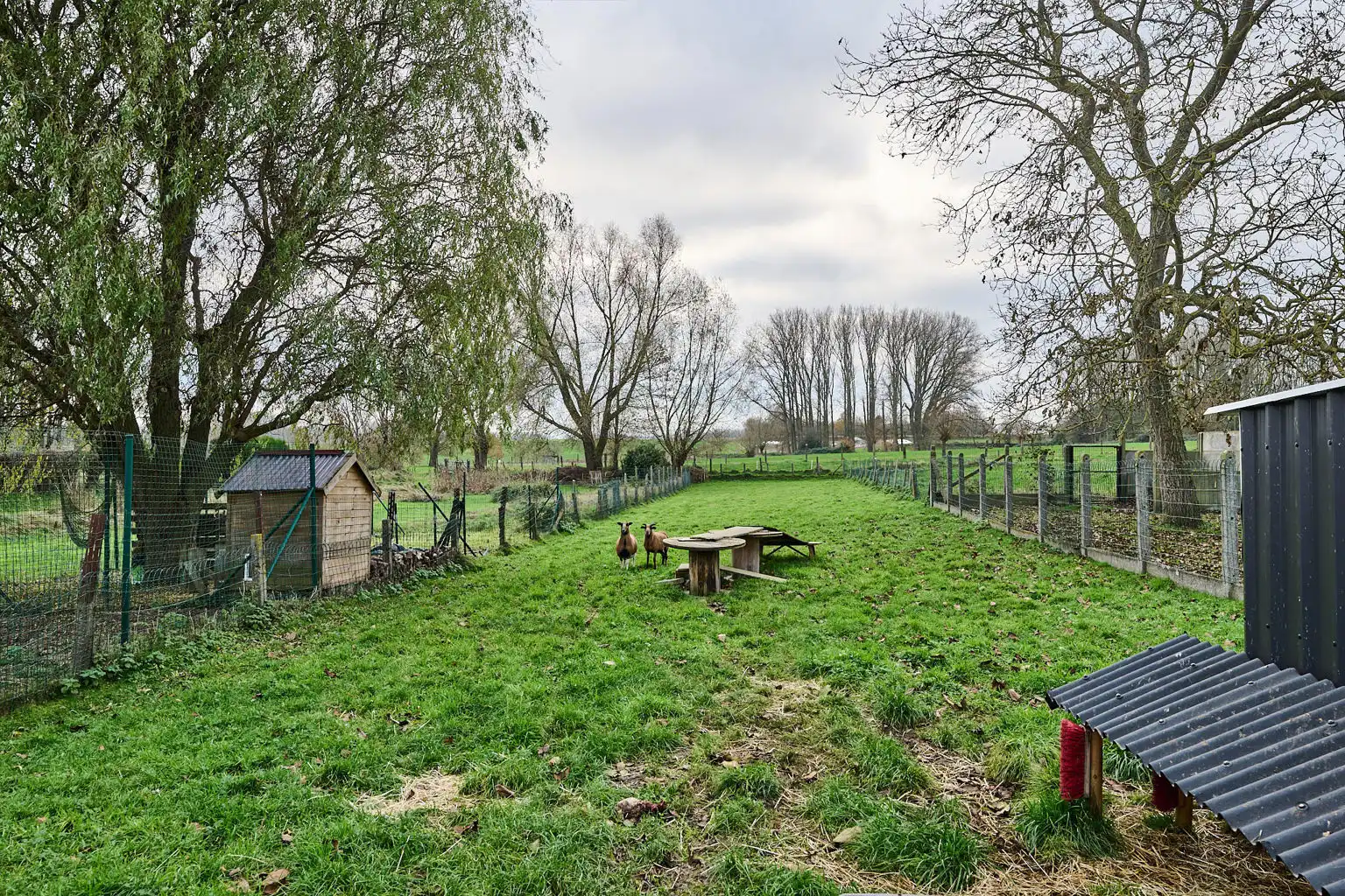 Huis te koop foto 26