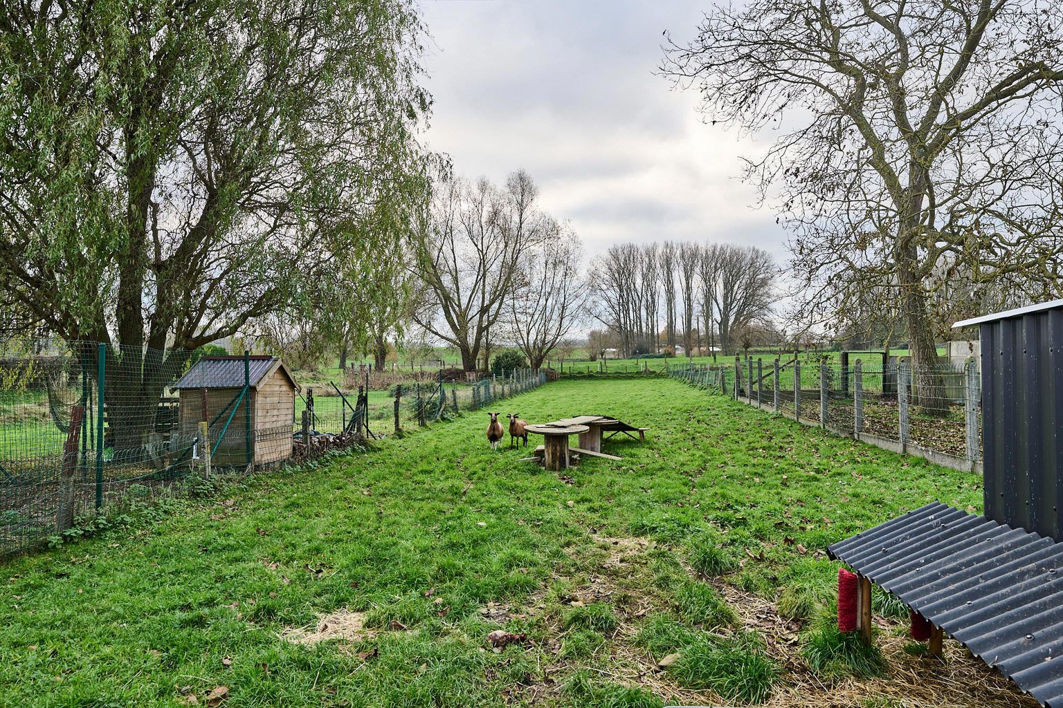 Huis te koop foto 26