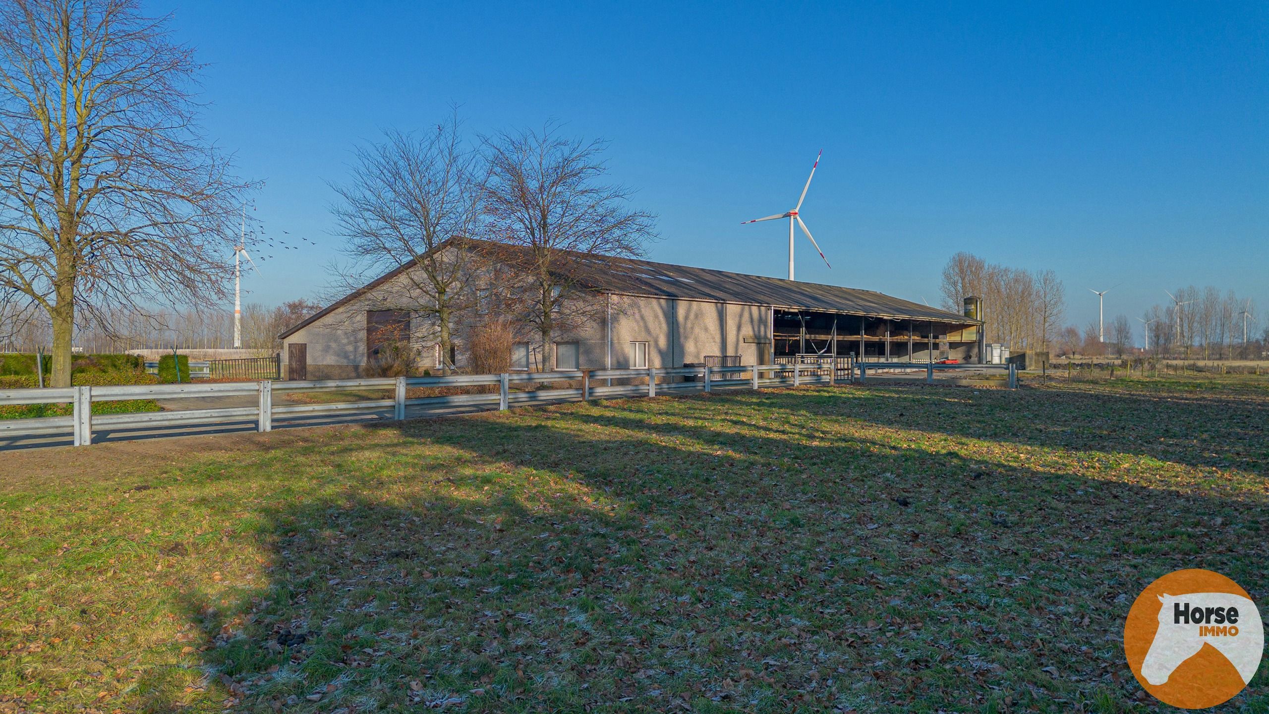 LAARNE- &nbsp;Landbouweigendom met geïntegreerde woning&nbsp; foto 25
