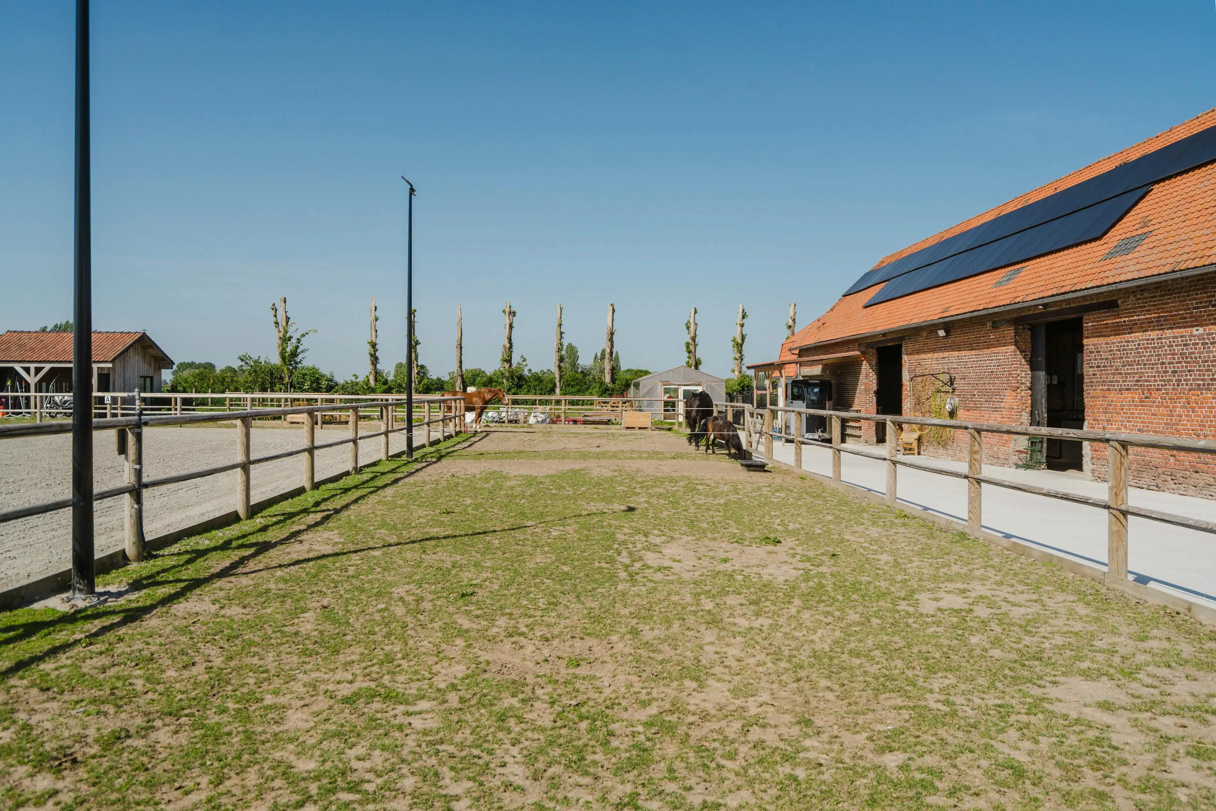 Karaktervolle hoeve met open zicht op de Kemmelberg en tal van mogelijkheden op 7.425 m² foto 13