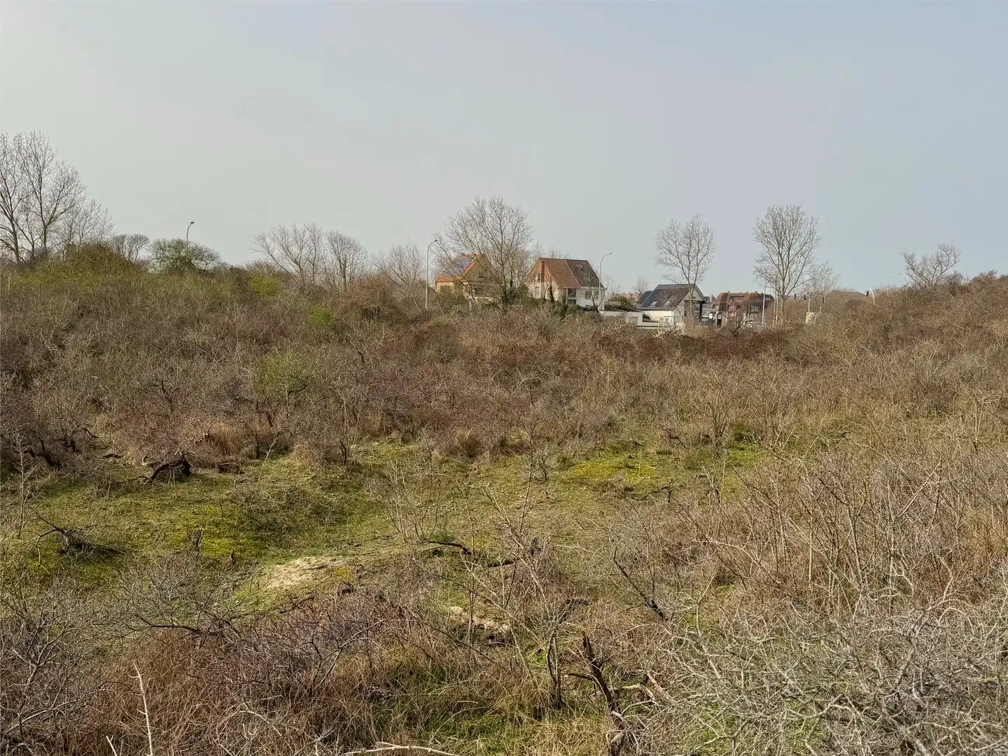 Vrijstaande villa met unieke ligging in Oostduinkerke foto 20