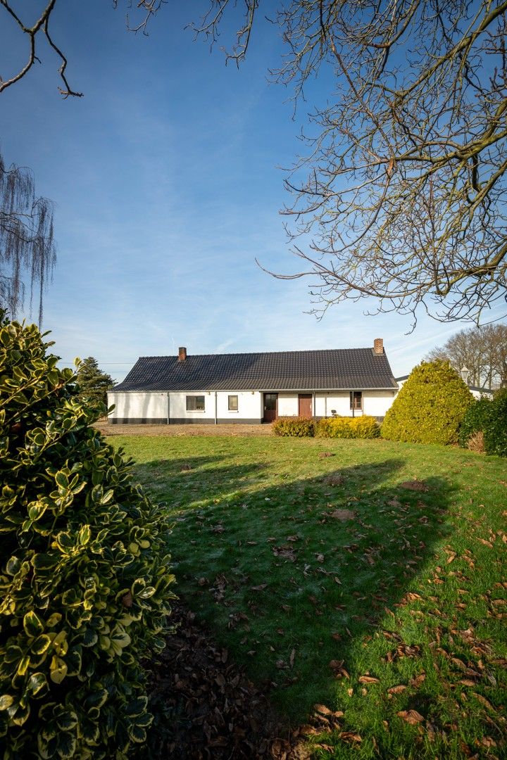 Karaktervolle langegevelhoeve met potentieel op 2.103 m², omgeven door weilanden en rust foto 9