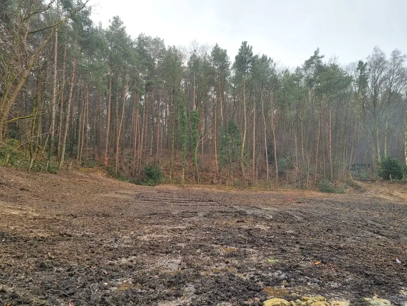 Bouwgrond vrijstaande woning, zuidgericht en zeer rustige ligging met groen boszicht achteraan foto 4