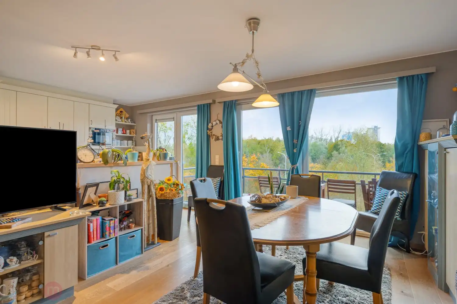 Ruim en lichtrijk appartement met twee terrassen en uitzicht op het Vijverpark aan de rand van Anderlecht 🌿 foto 4