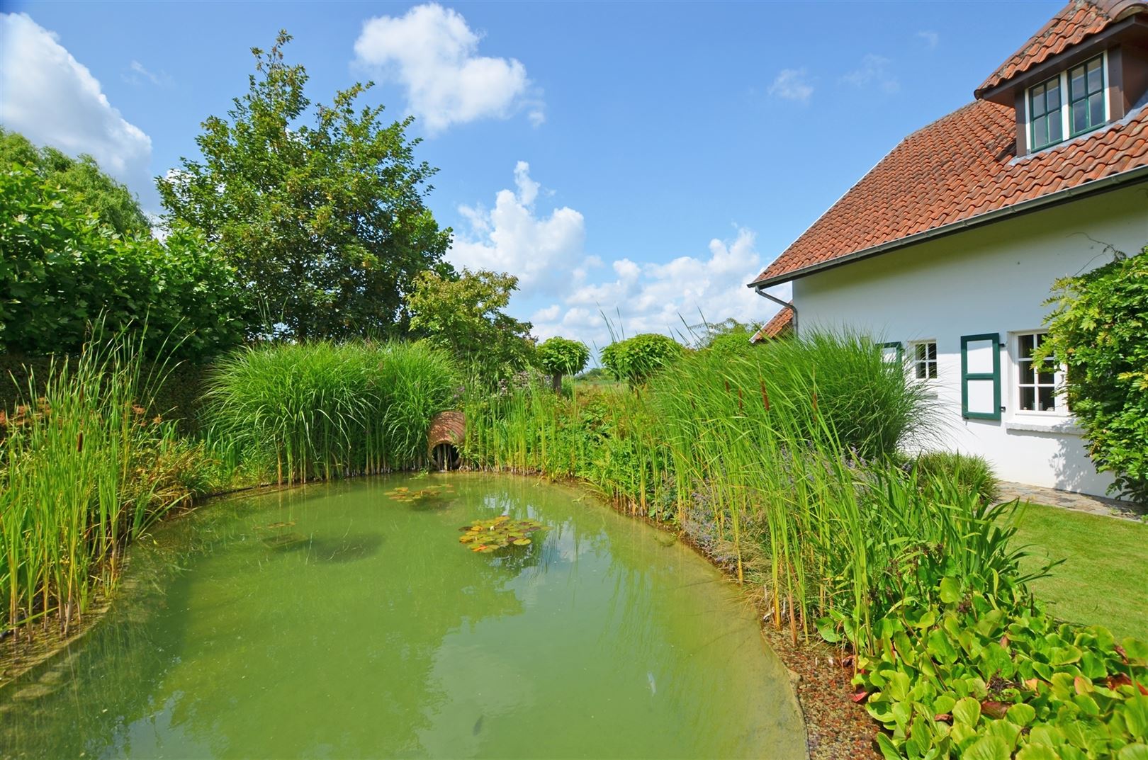 Landelijk gelegen vierkantshoeve op ±1.4Ha foto 38