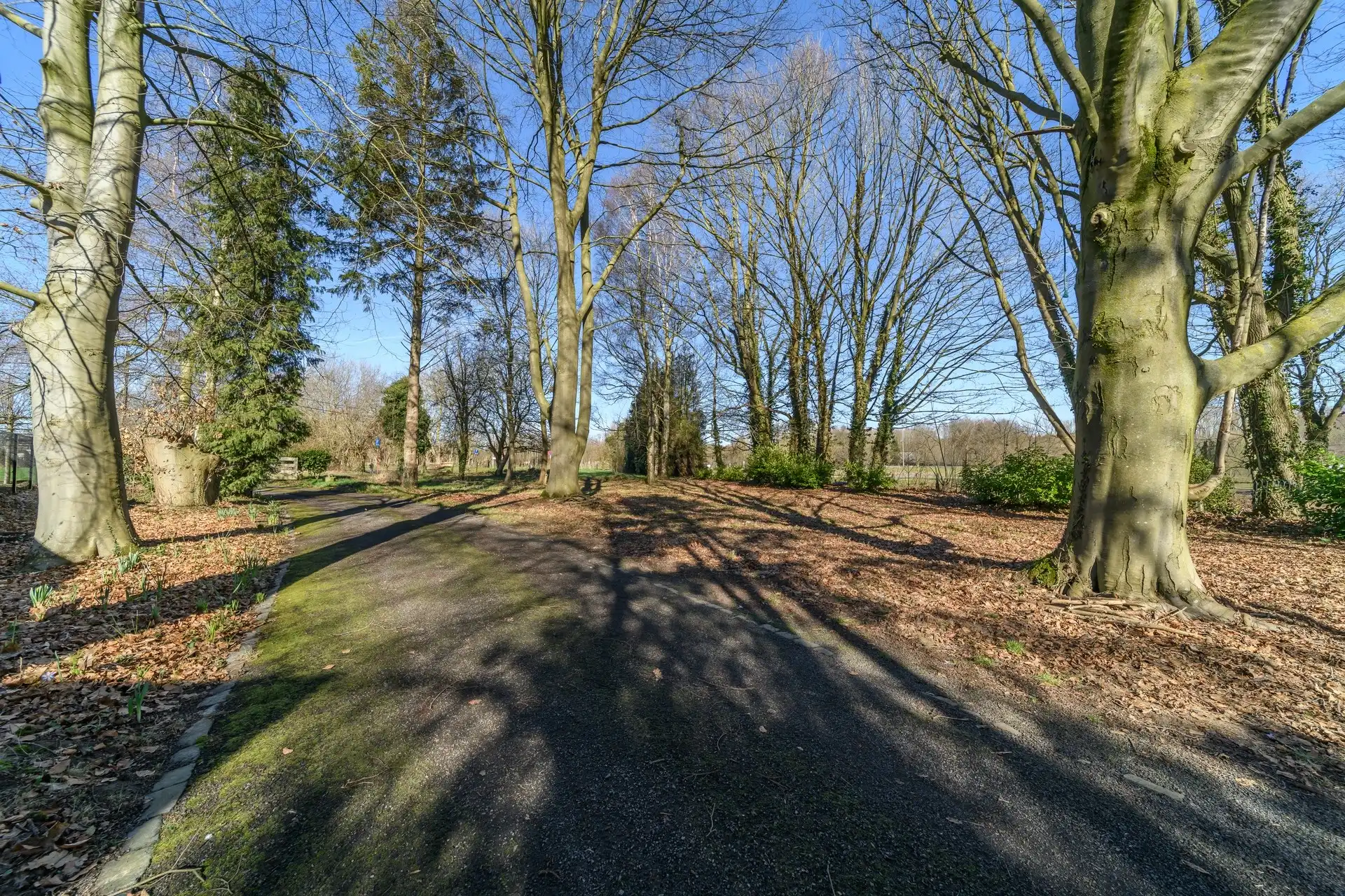 Uitzonderlijke en charmante bungalow op grond van 61 are foto 7