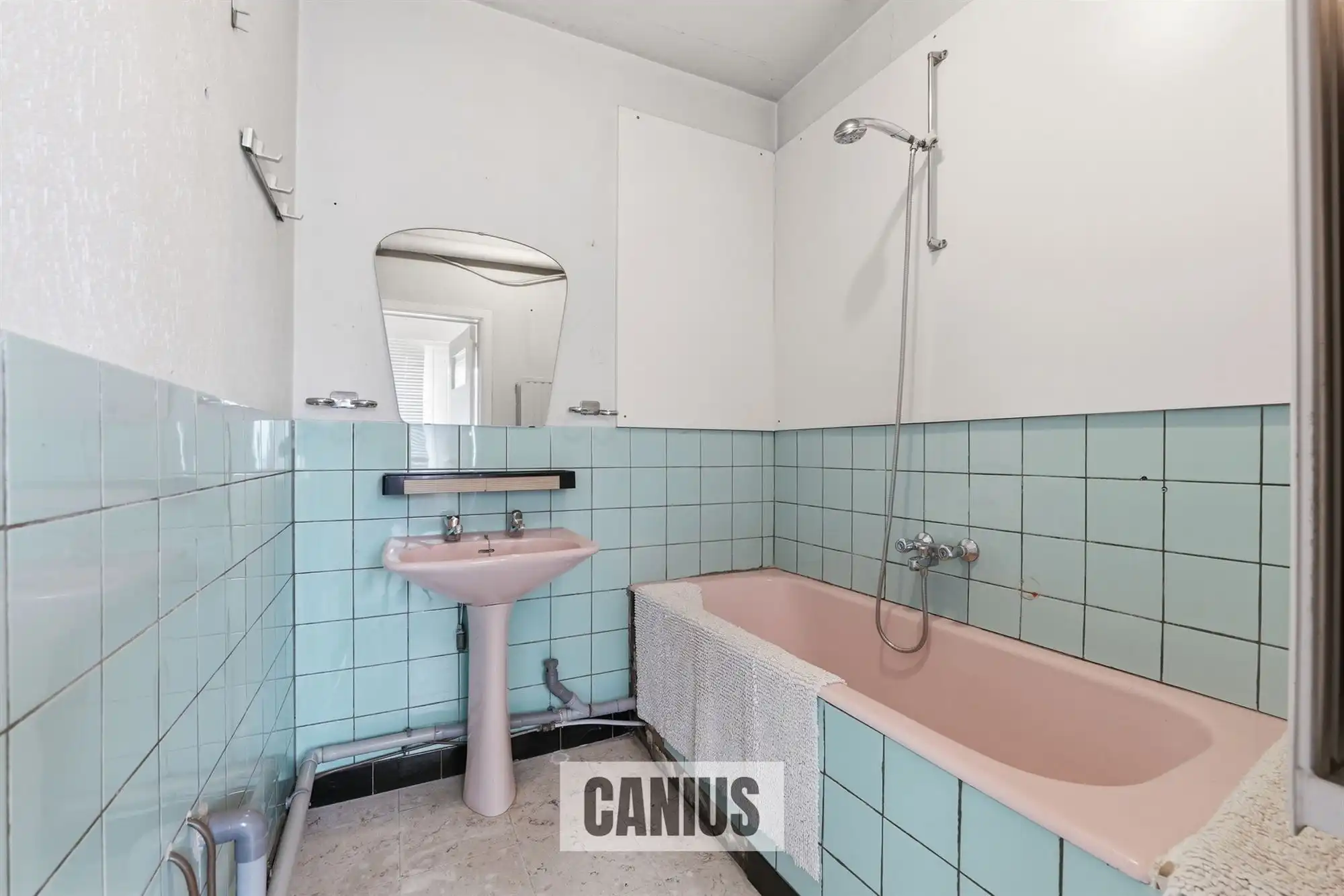 UNIEKE EIGENDOM MET 2 WOONHUIZEN TE KOOP IN BILZEN foto 29