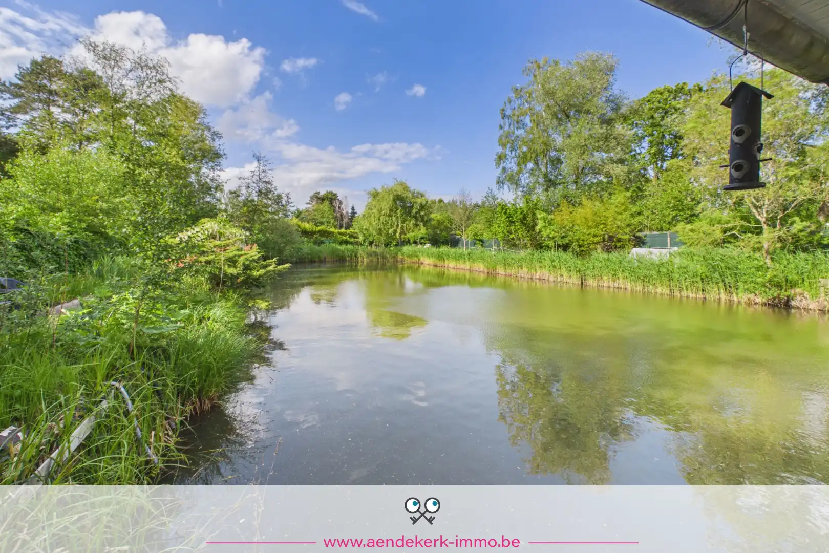 Bijzondere recreatie-eigendom met vijver en bemeubelde chalet te Maaseik foto 9