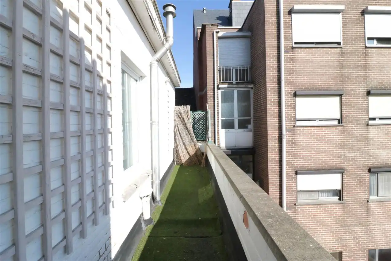 charmant, ruim, mogelijkheid beroep of kangoeroe foto 45