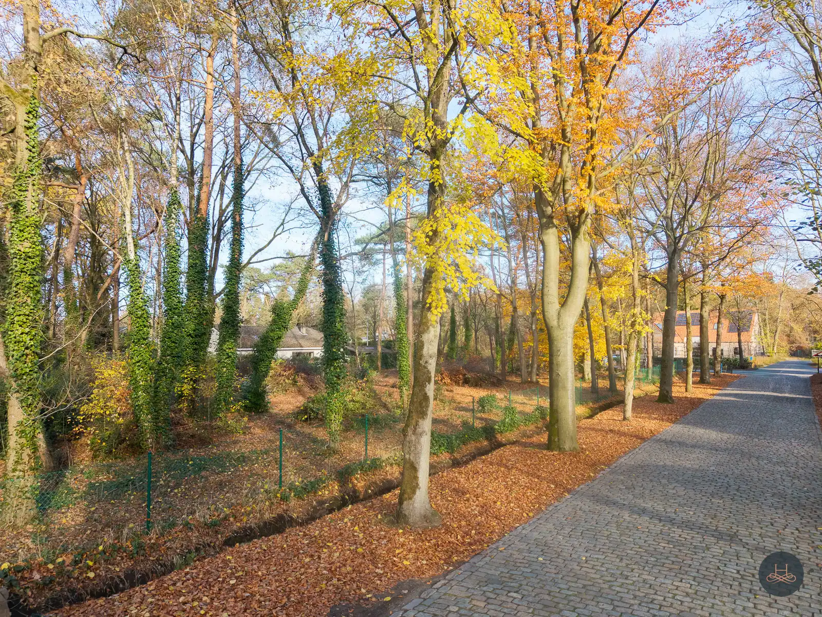 Uitzonderlijke bouwgrond voor open bebouwing in prestigieuze villawijk te Brasschaat foto 4