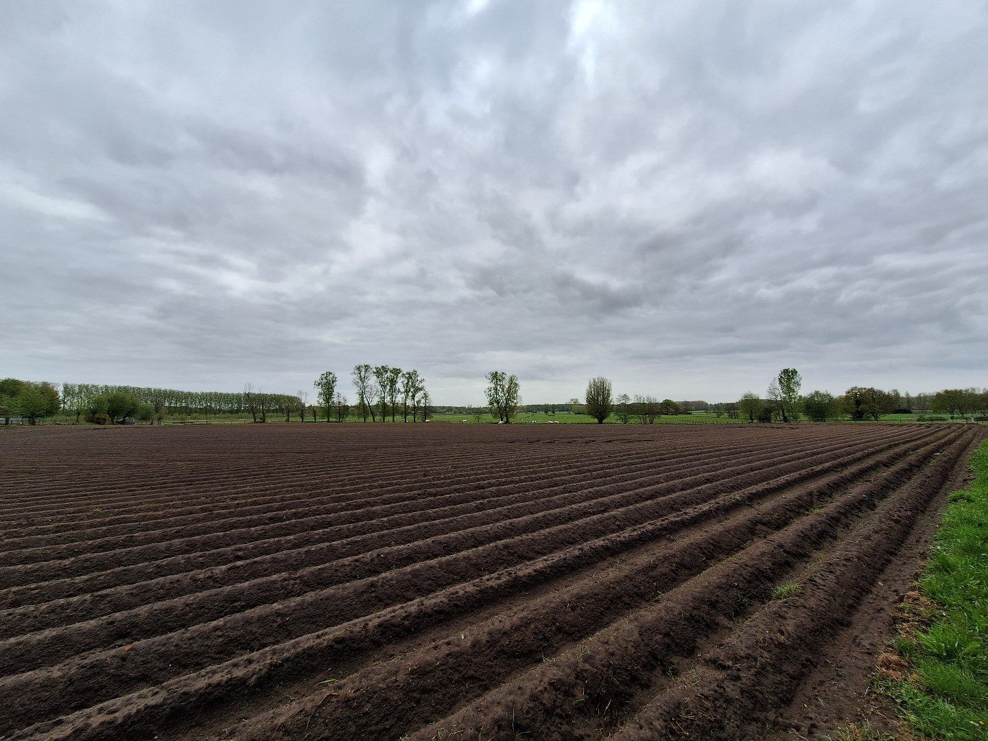 Groot perceel projectgrond in groene omgeving / landelijke domein foto 11