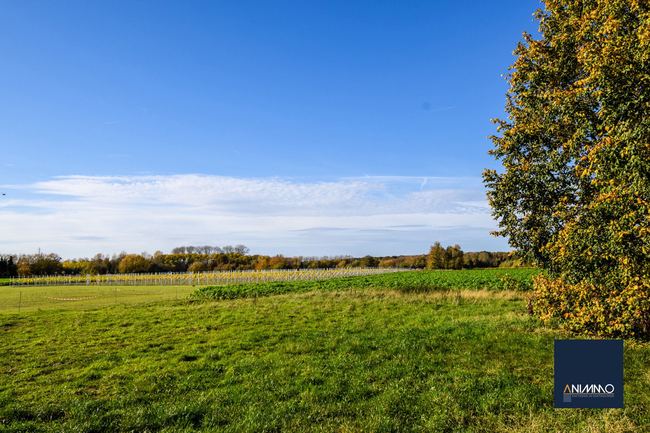 Boerderij te koop foto 2