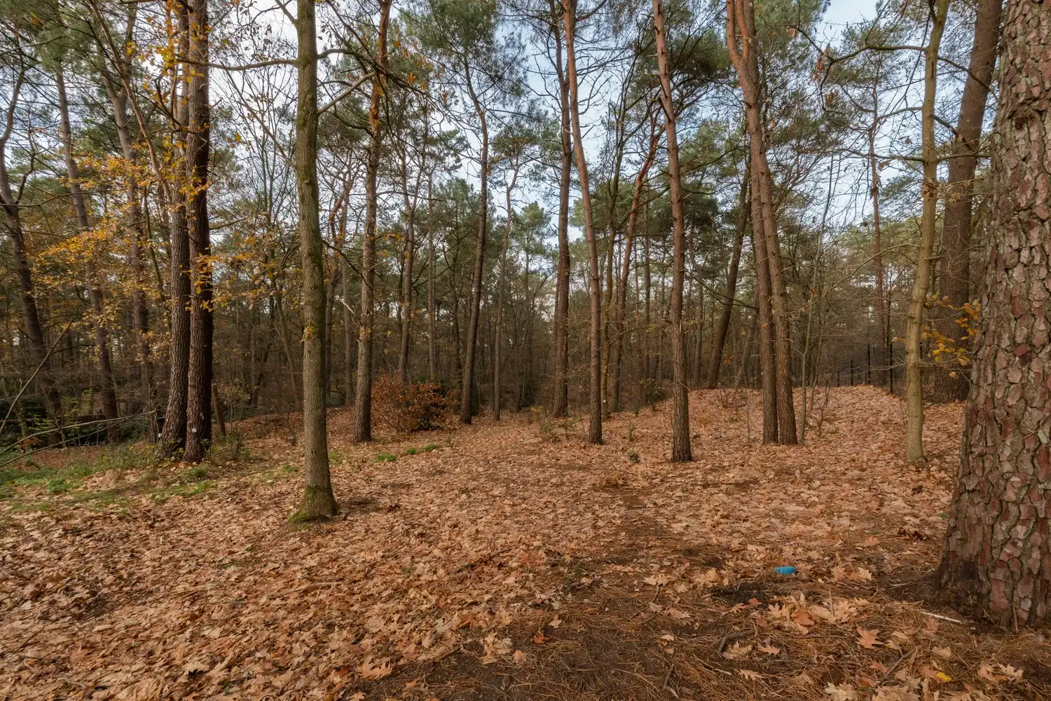 Handelspand met magazijn op zichtlocatie – Kamperbaan 114, Hechtel foto 37