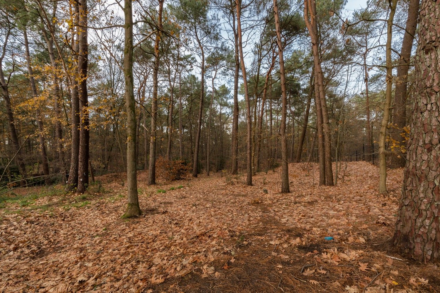 Handelspand met magazijn op zichtlocatie – Kamperbaan 114, Hechtel foto 37