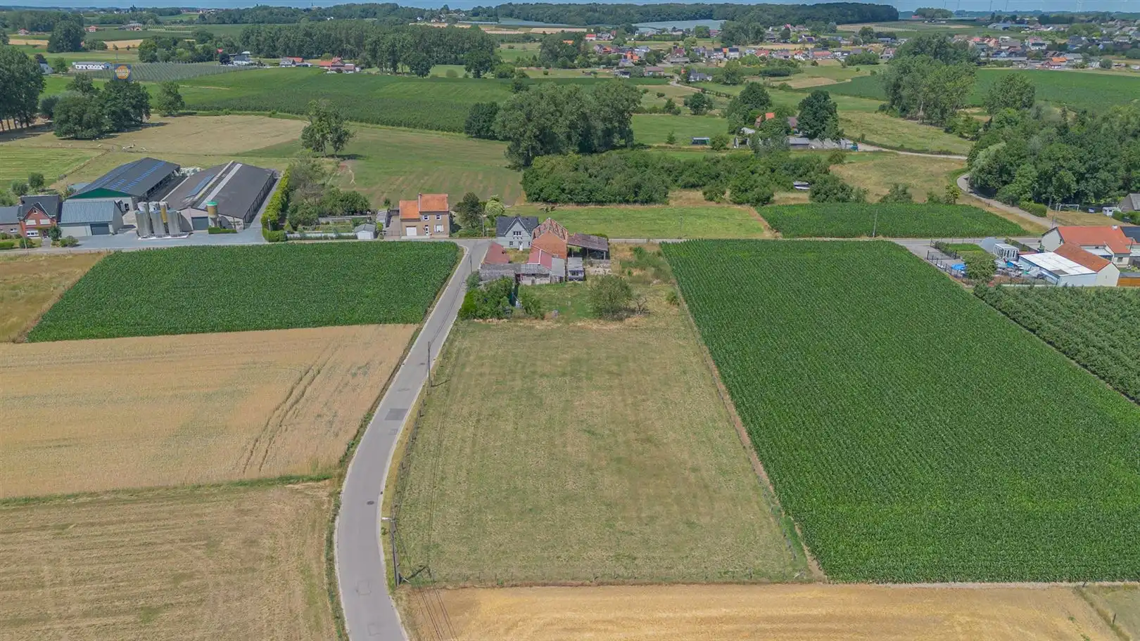 Te renoveren vierkantshoeve op toplocatie foto 3