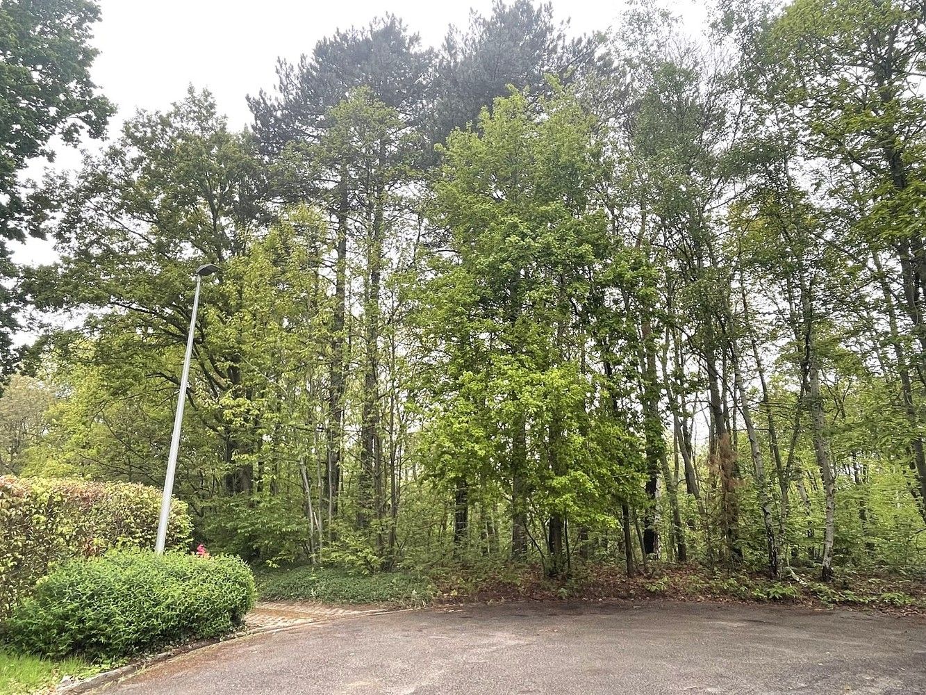 Exclusieve bouwgrond aan de Heideweg – zeer residentieel gelegen foto 4