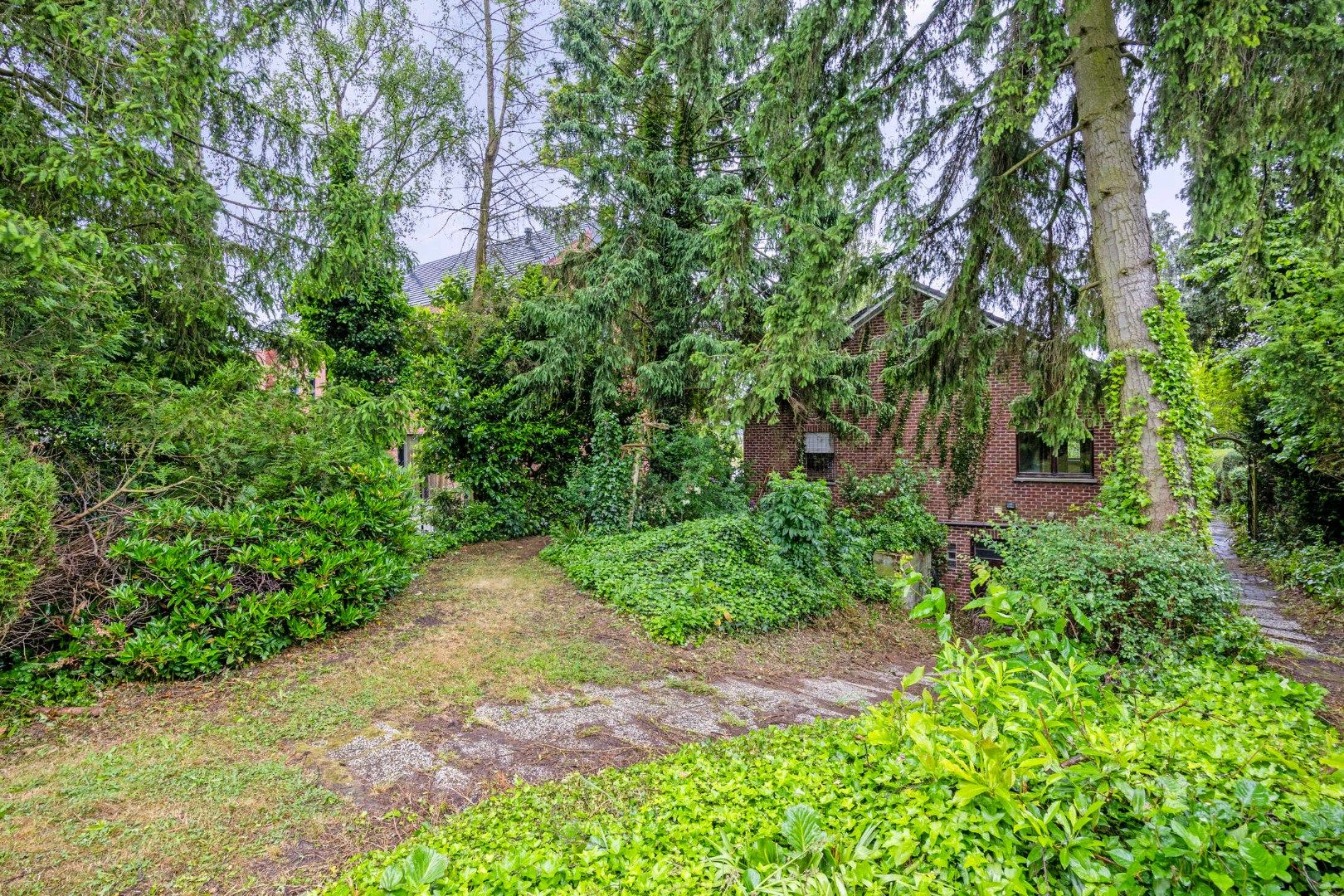 Ruime gezinswoning met grote tuin op perceel van 14a 41ca in Blanden te koop - bewoonbare opp. 236 m² foto 29