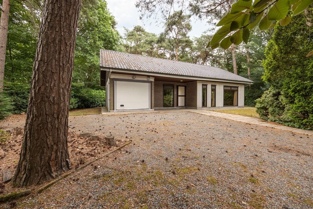 Alles gelijkvloersvilla in de bosrijke omgeving van Pulle foto 2