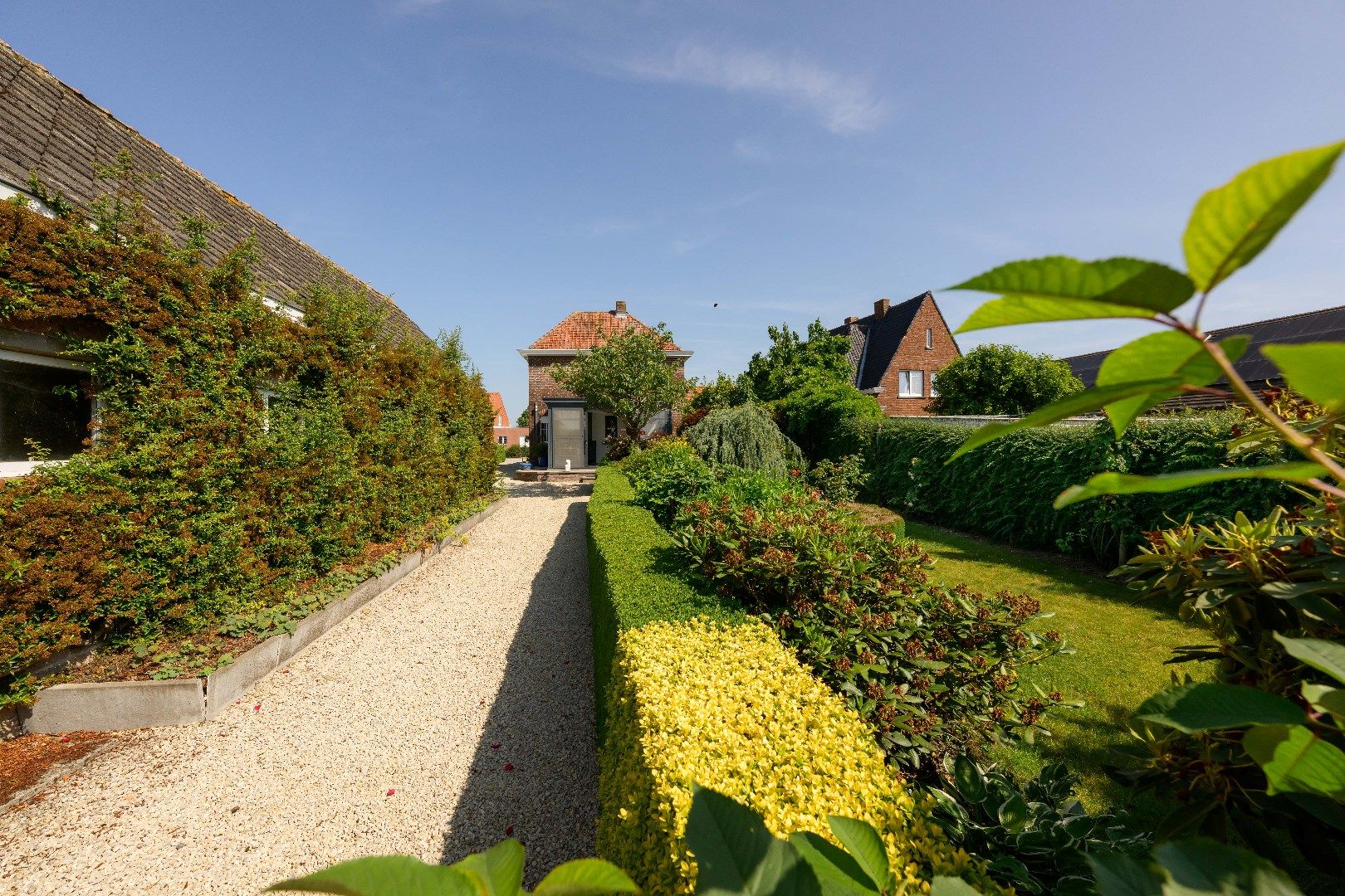 KARAKTERVOLLE WOONST MET BIJGEBOUW (140 m²) EN PRACHTIG VERZICHT!!!  foto 3