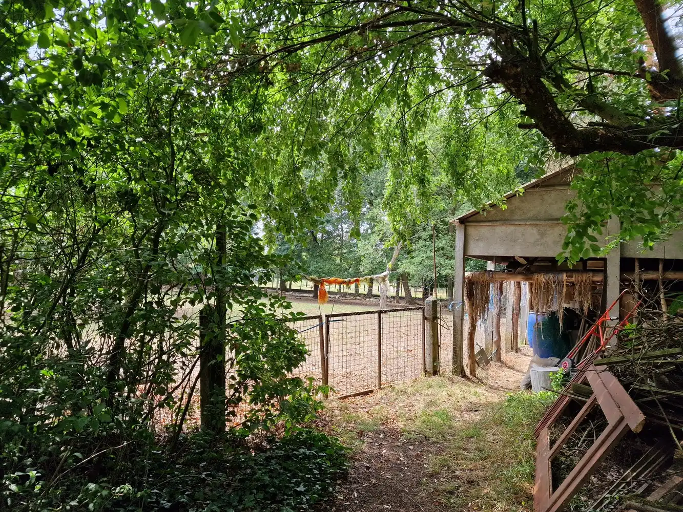 Huis te koop foto 11