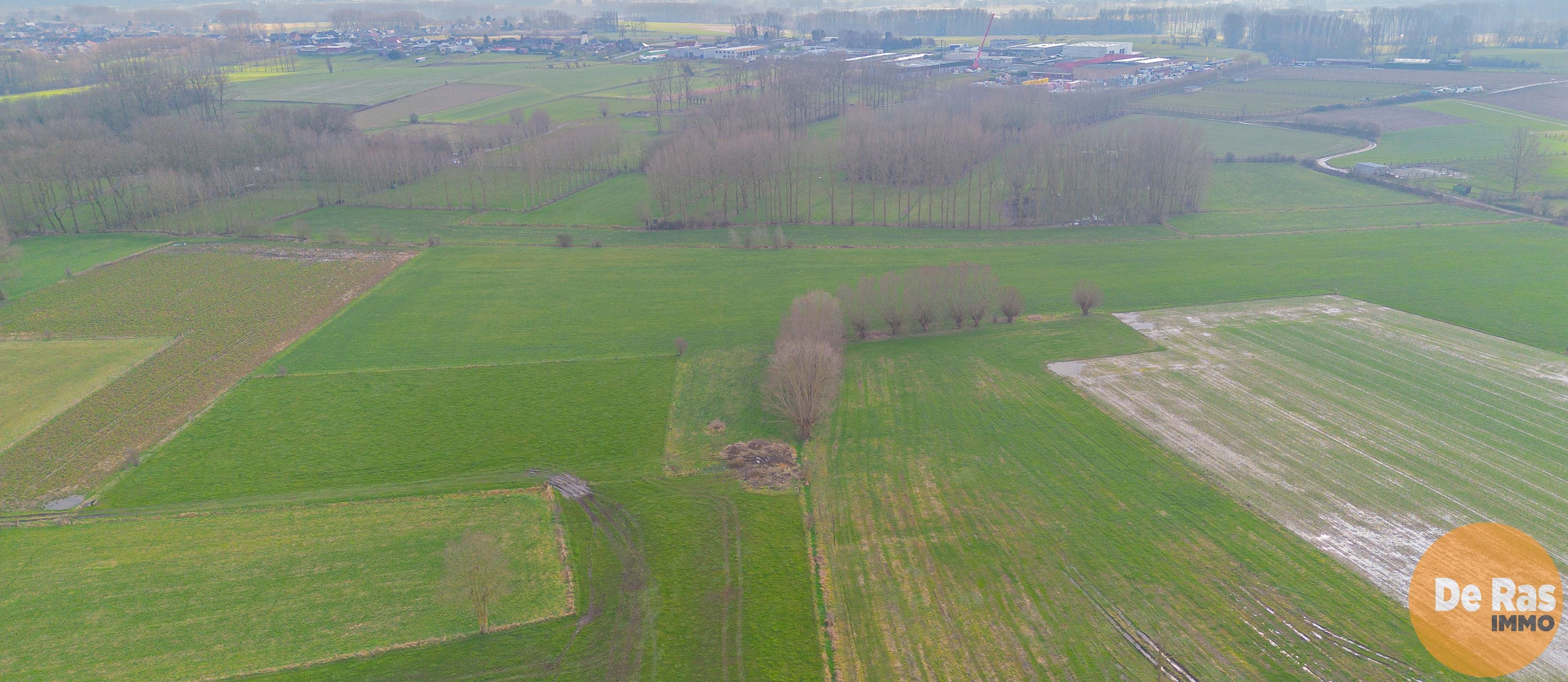 HILLEGEM – Landbouwgronden te koop foto 7