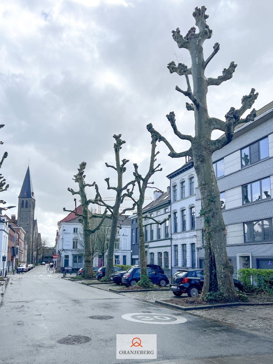 Ruim 2 slaapkamer appartement vlakbij Visserij, centrum Gent foto 39