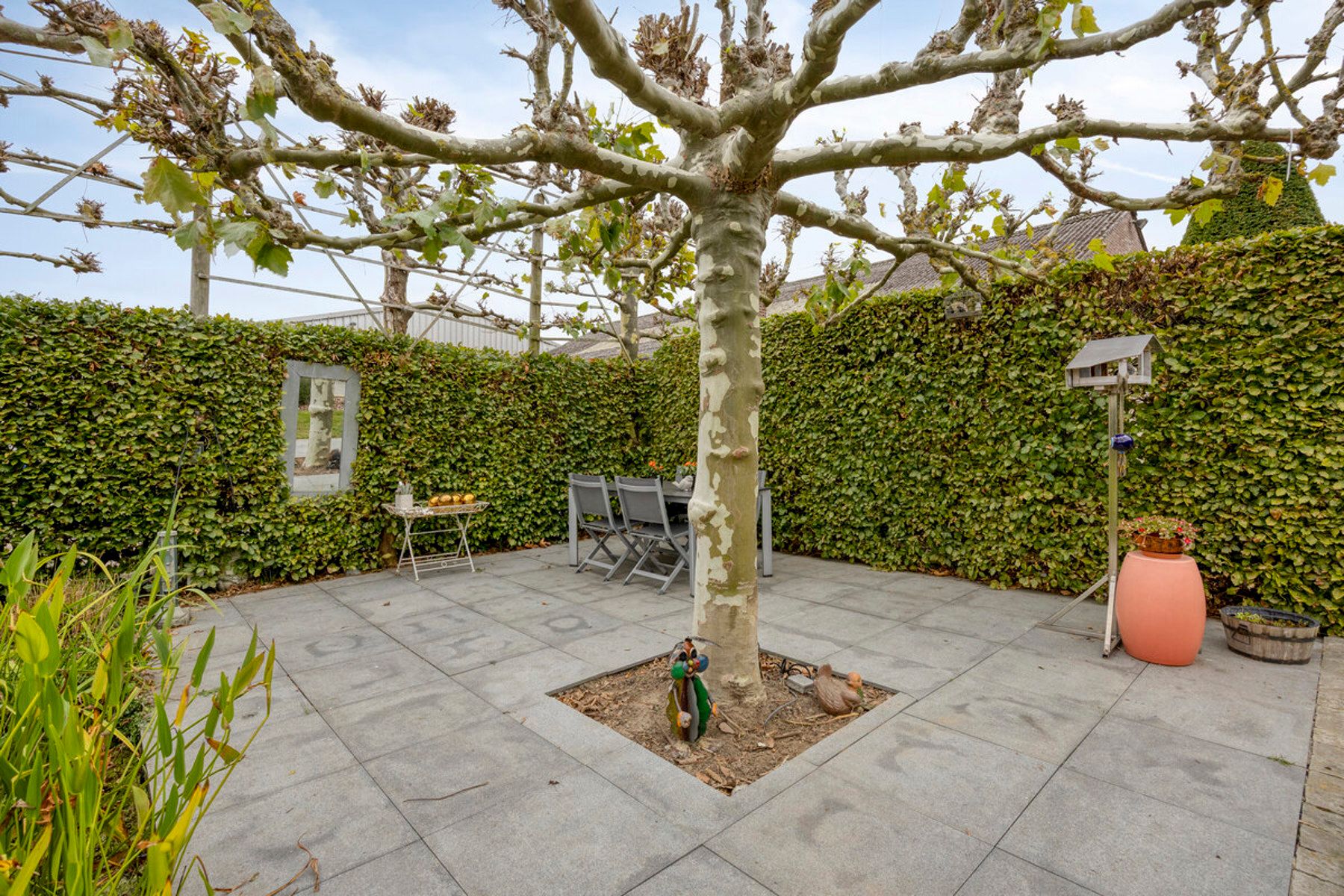 Exclusieve villa met grote loodsen combineer werken en wonen foto 39