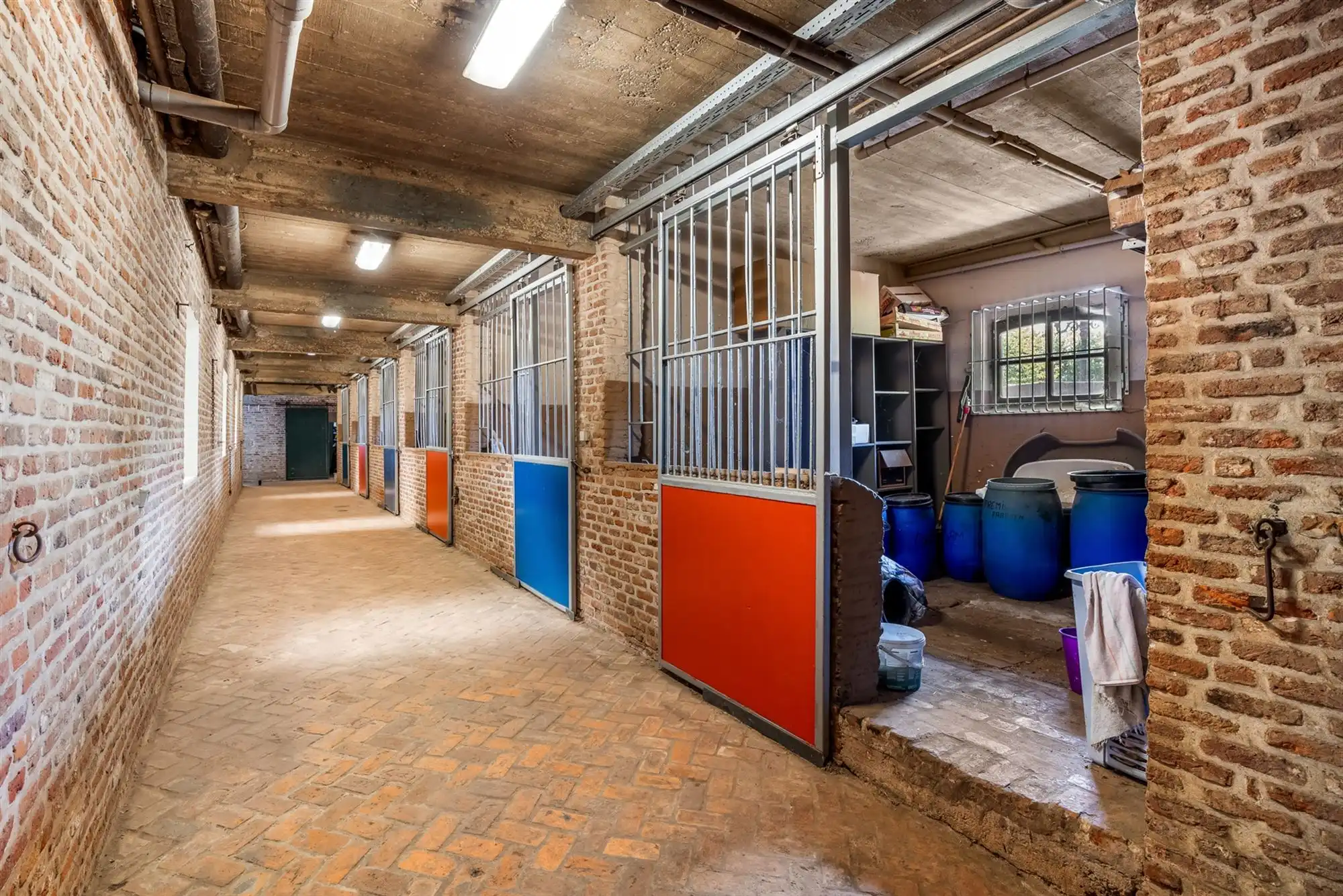 UNIEKE EIGENDOM MET 24 PAARDENSTALLEN EN BINNENPISTE OP CA 10 HECTARE TE PAAL-BERINGEN foto 6