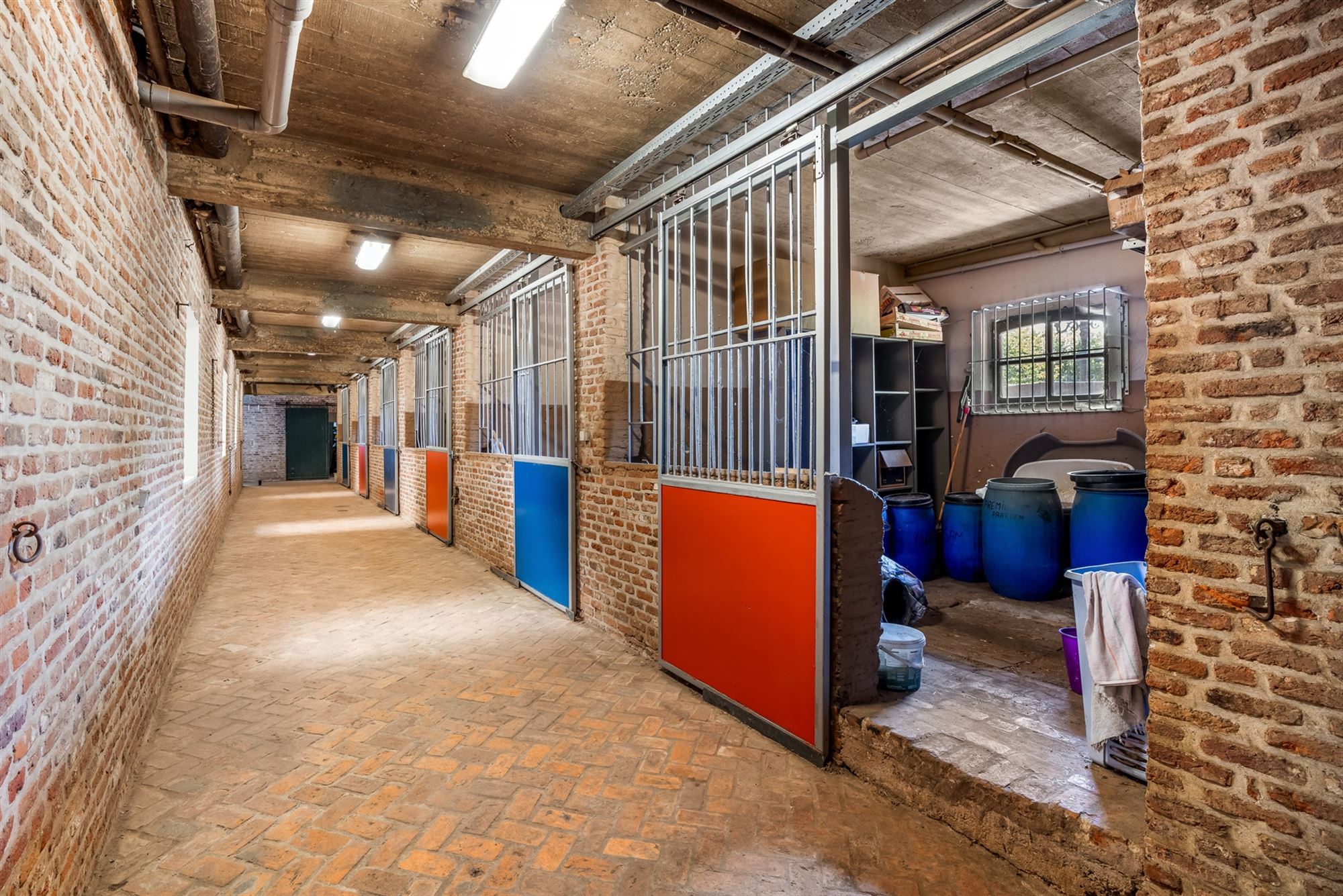UNIEKE EIGENDOM MET 24 PAARDENSTALLEN EN BINNENPISTE OP CA 10 HECTARE TE PAAL-BERINGEN foto 6