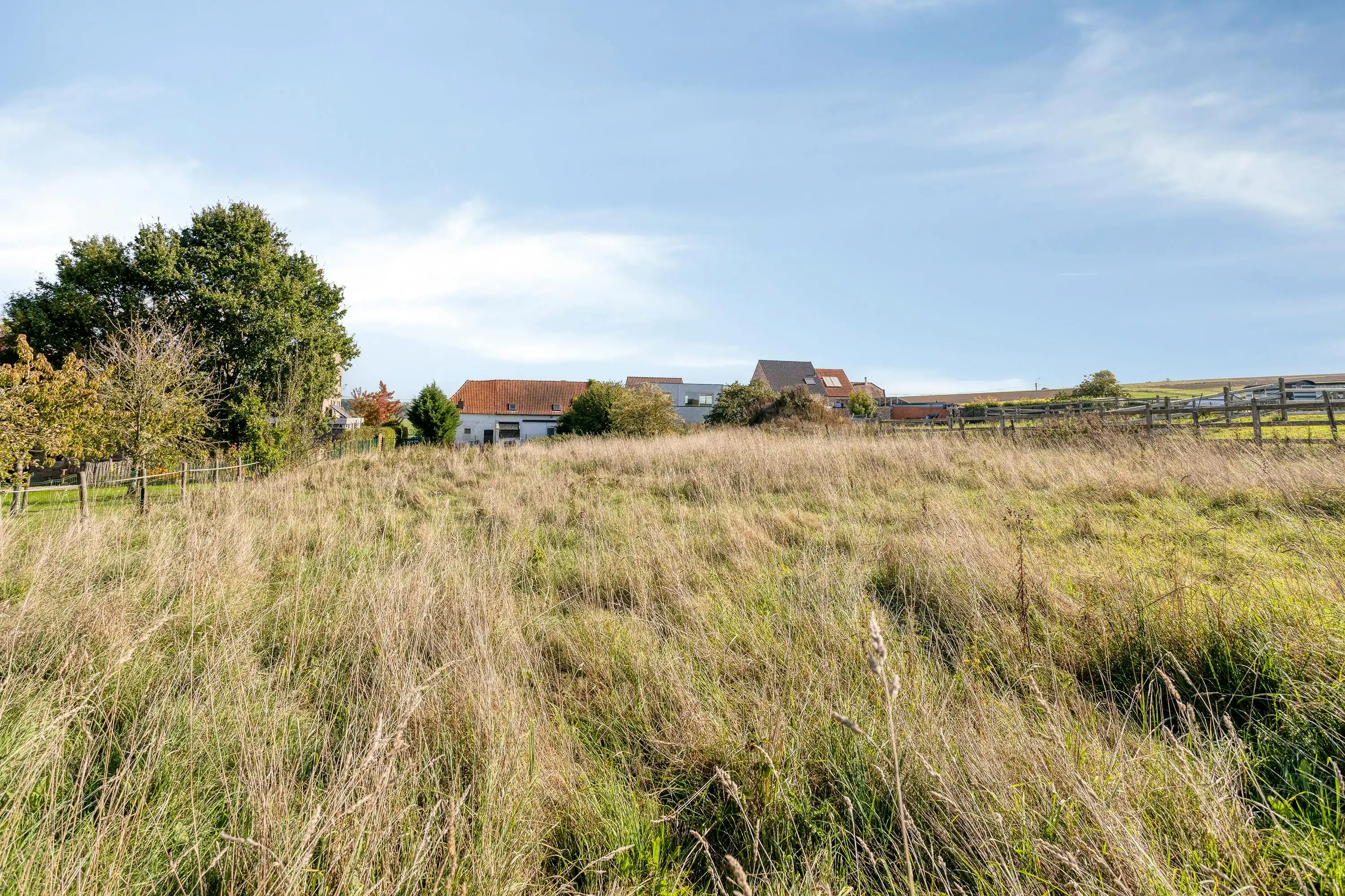 Instapklare woning (4 slpk) (+ magazijn) op 2.497 m² foto 16