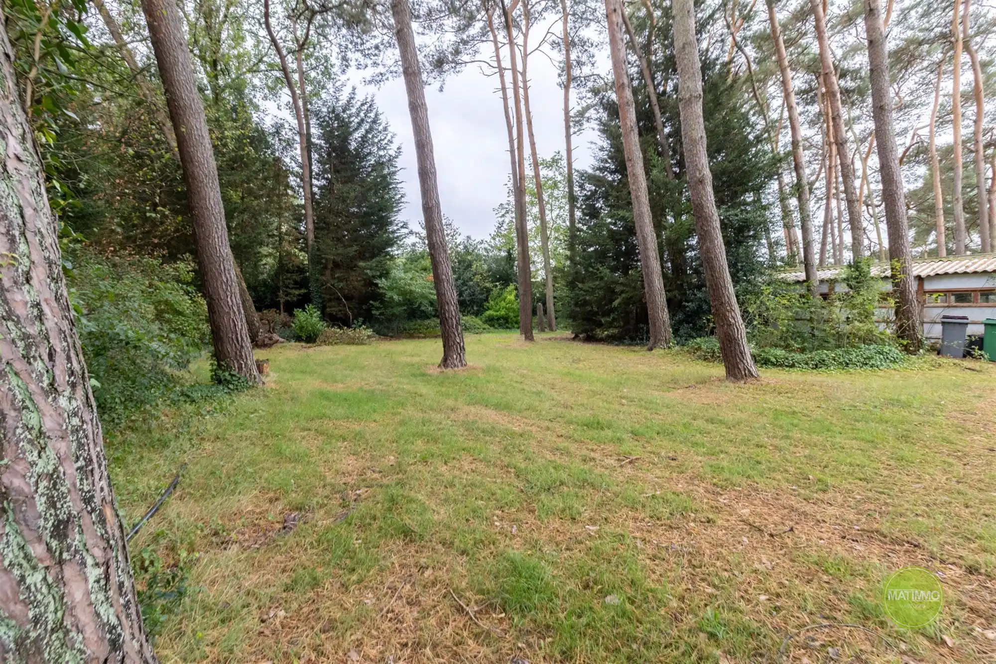 Vrijstaande woning op royaal perceel met bos in Mol-Sluis foto 23