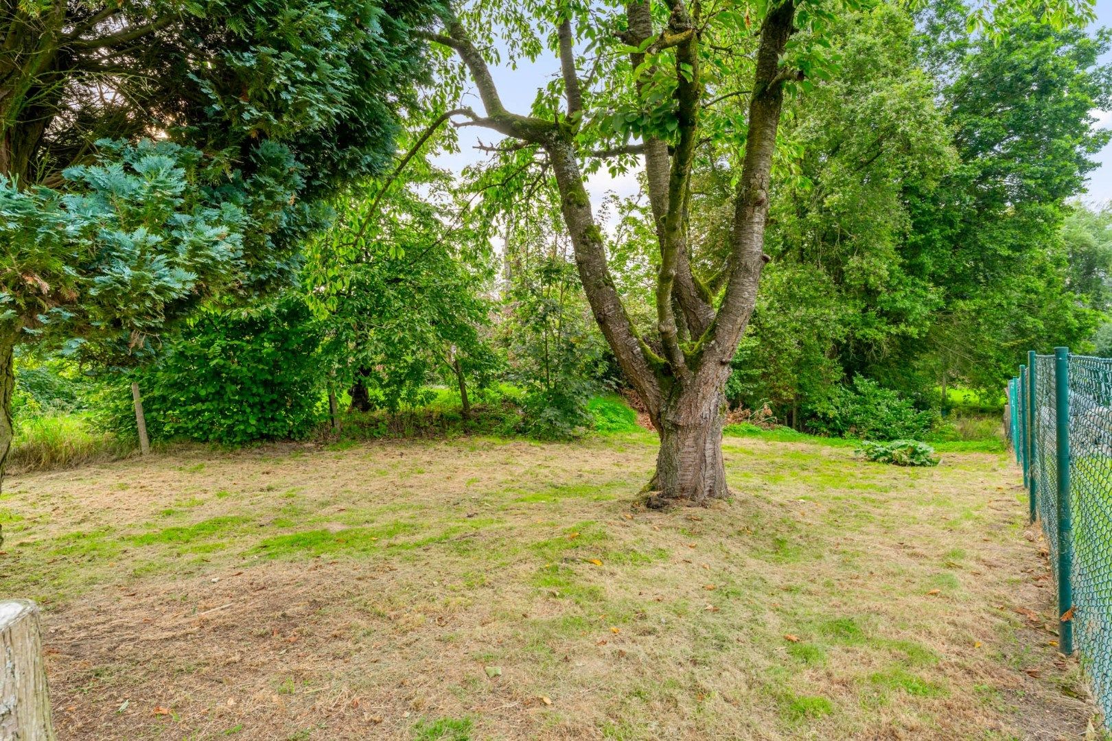 Te renoveren halfvrijstaande woning met bijzonder ruime en weelderige tuin op 10a 82ca foto 27