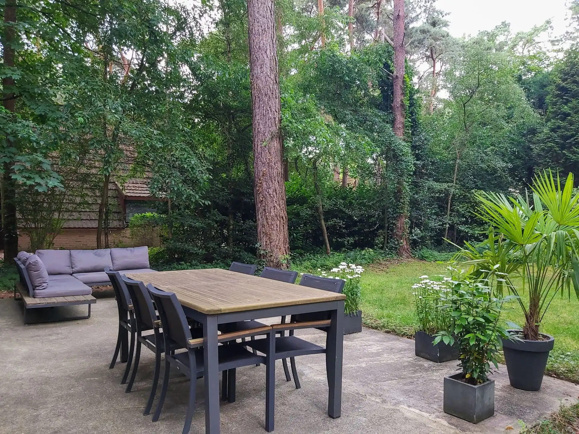 Huis foto 13