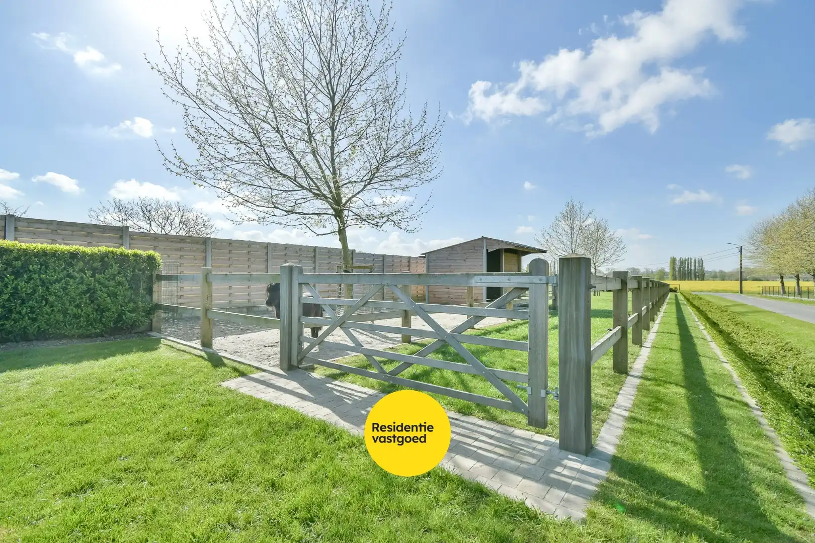 KIJKDAG zaterdag 2 mei van 10u tot 12u, op afspraak! foto 21