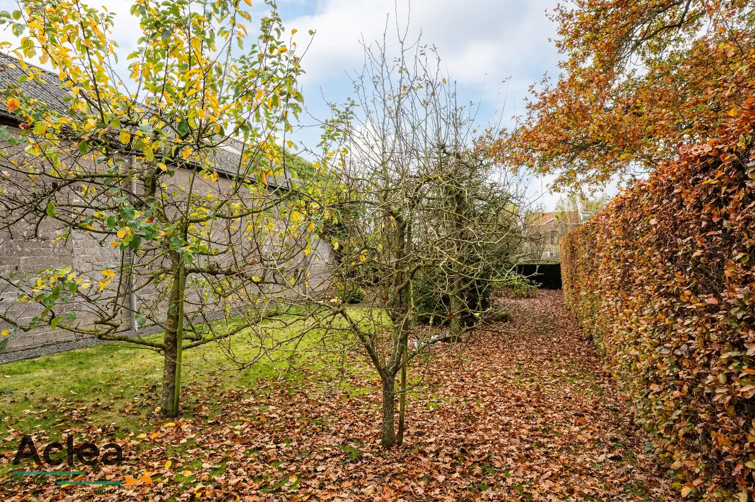 Karaktervolle vrijstaande woning op een goede locatie in Kaprijke foto 36