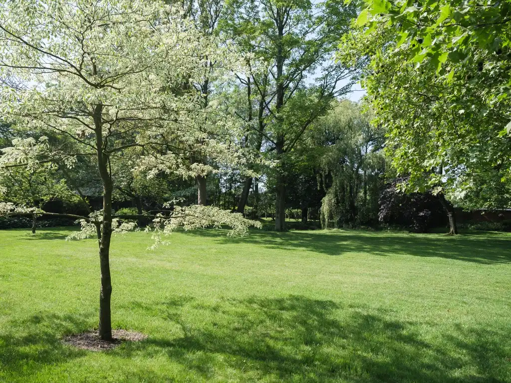Bijzonder ruime en karaktervolle herenwoning met prachtige parktuin van ca. 6.800 m² in Oostakker foto 12