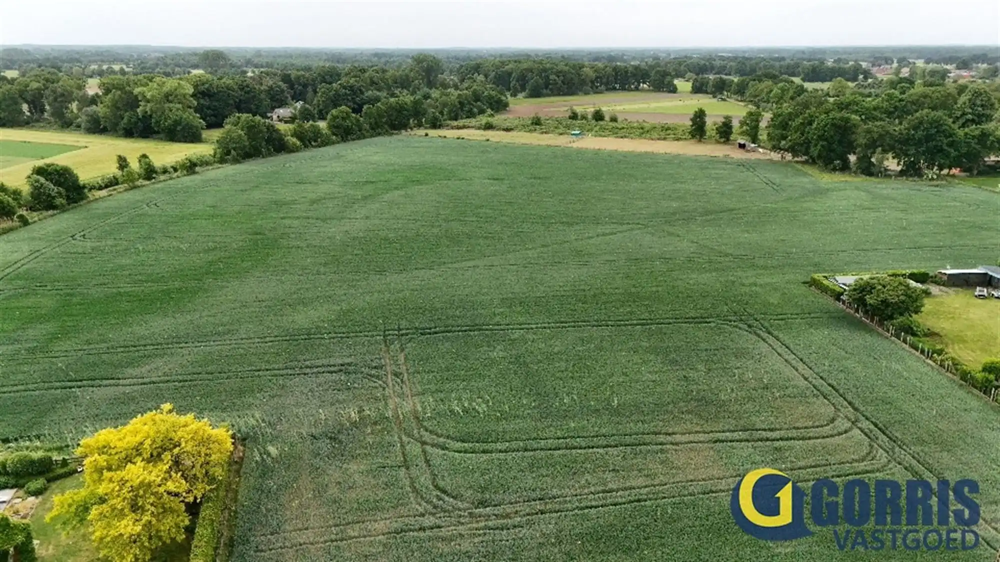 Goed gelegen perceel landbouwgrond foto {{pictureIndex}}
