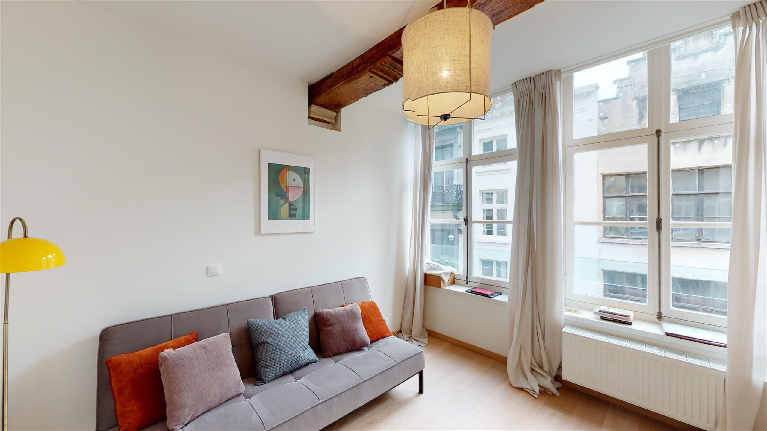 ANTWERPEN-CENTRUM - Charmant appartement nabij de Grote Markt foto 5