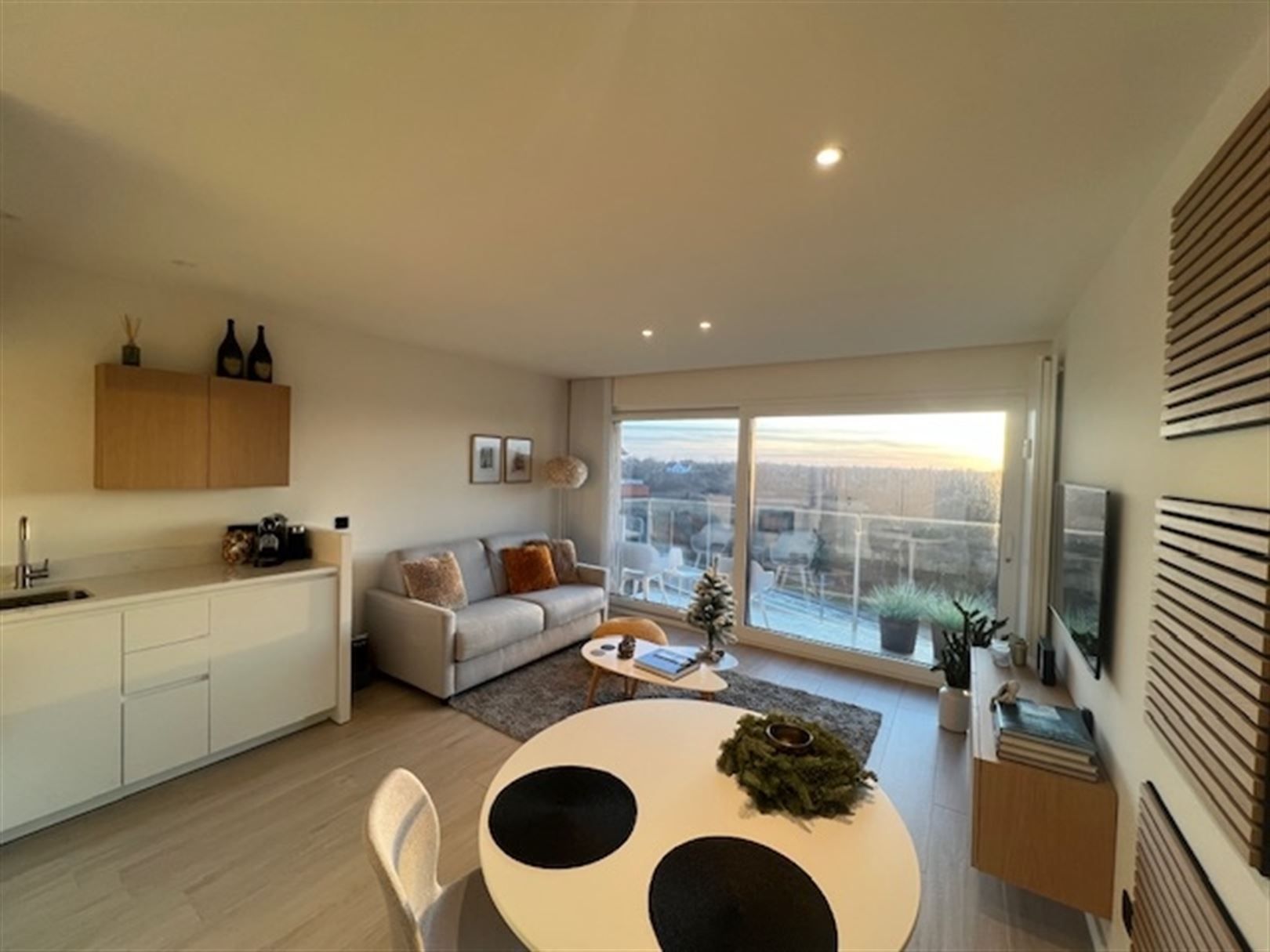 Compleet vernieuwde studio met zicht op duinen zuidgerciht foto 6