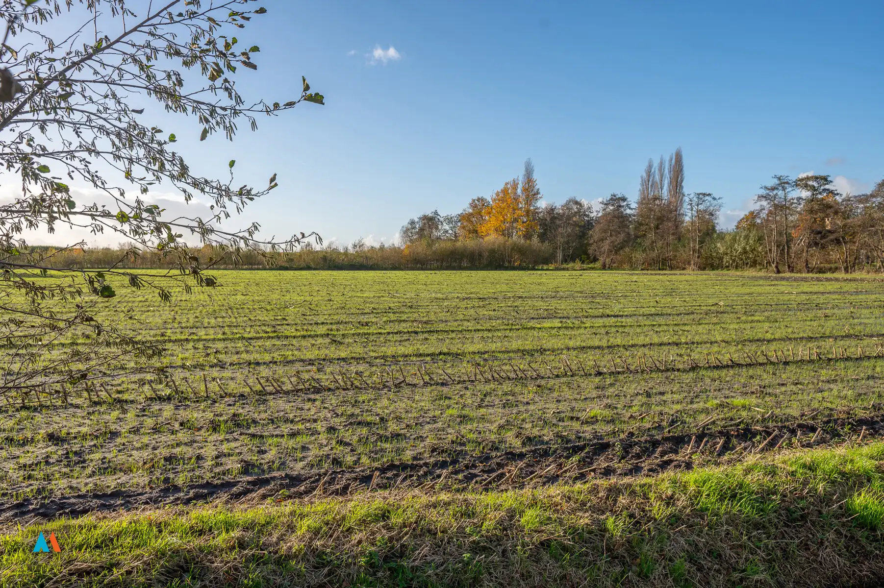 Perceel landbouwgrond foto {{pictureIndex}}