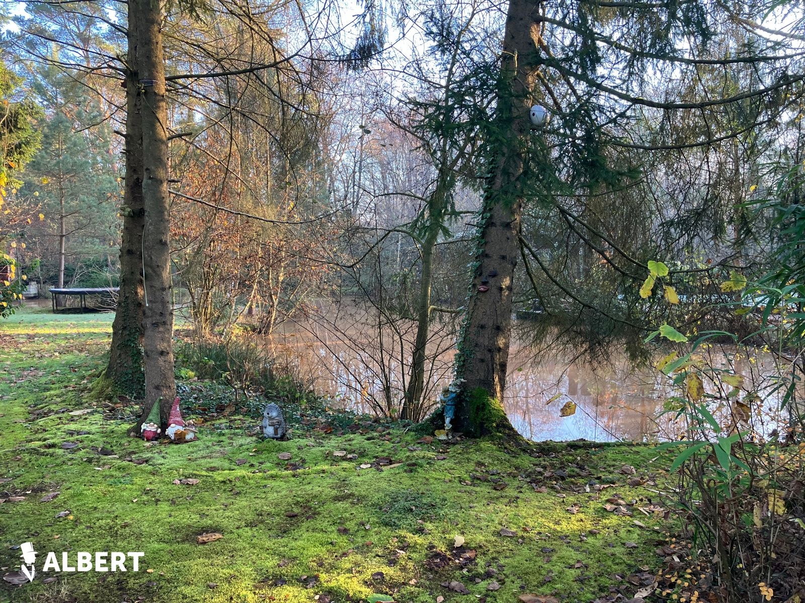  Charmante vakantiehuis op groot perceel met 2 vijvers! foto 15