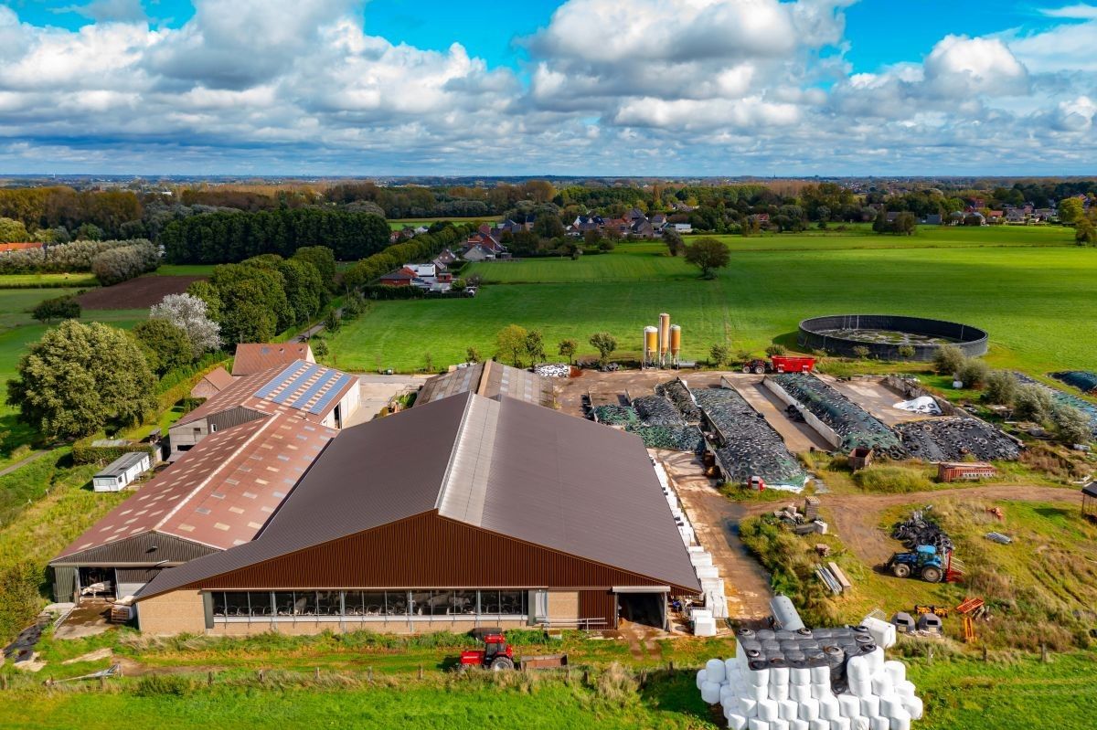 Hoogproductief melkveebedrijf te koop omgeving Aalst met circa 10 ha huiskavel foto 8