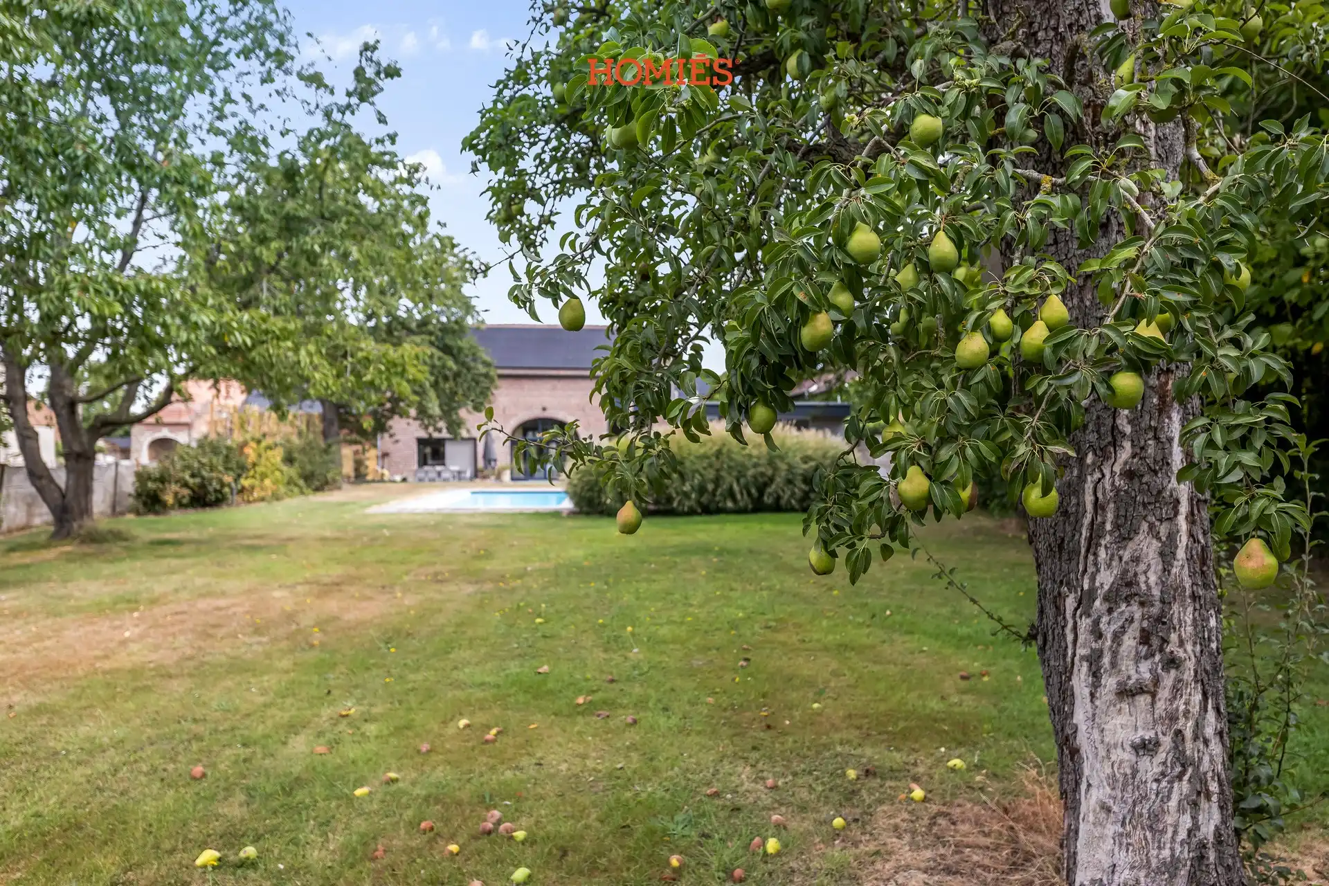 Karaktervolle hoeve met grote tuin en zwembad foto 7