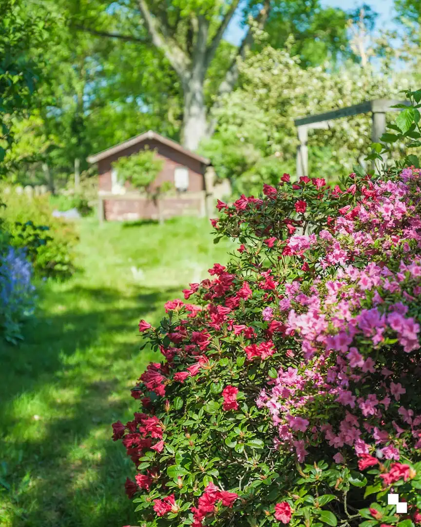 Te renoveren woning met gezellige tuin in het hart van Merelbeke foto 28