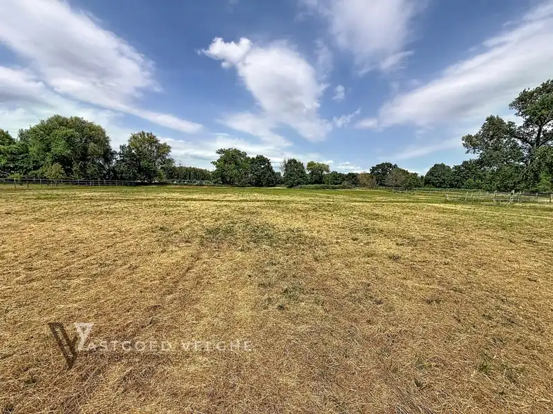 Woning met 3 slaapkamers op uitzonderlijk perceel van 1,63 hectare in groene omgeving foto 46