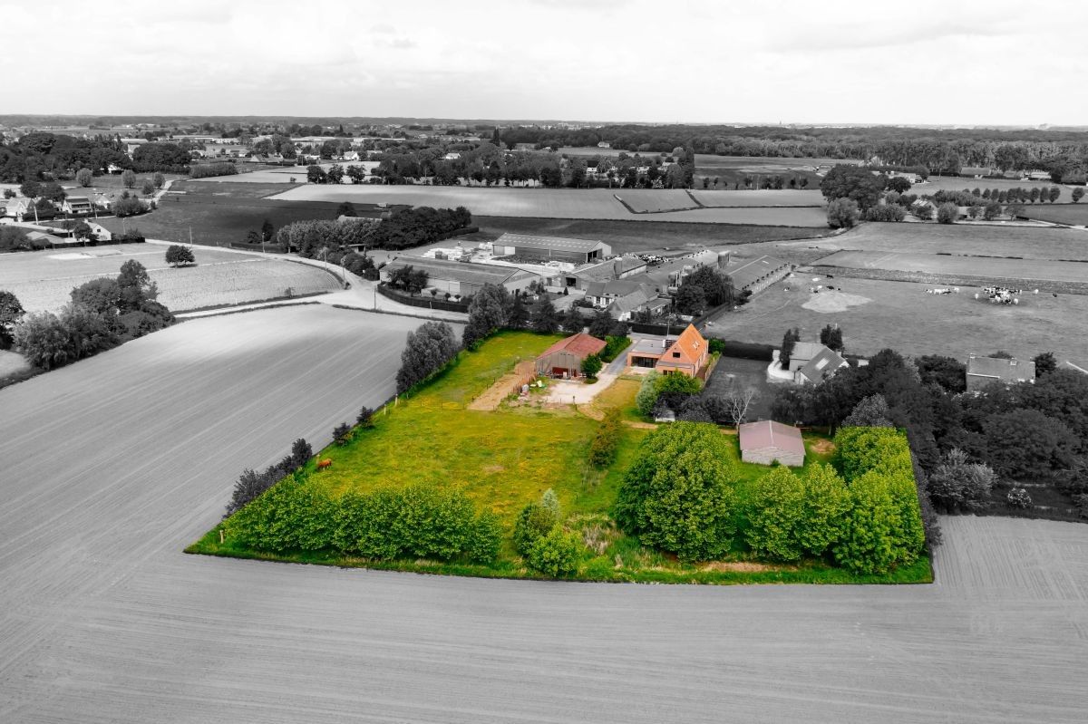 Hoeve voor kleinschalige landbouw of landbouwverbreding te koop te Lotenhulle. foto 4