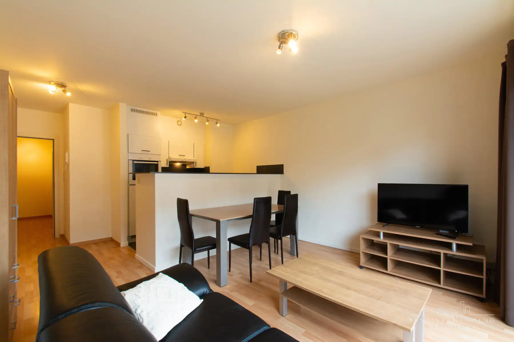 2 kamer LICHTRIJK App. (Jubelpark) foto 3