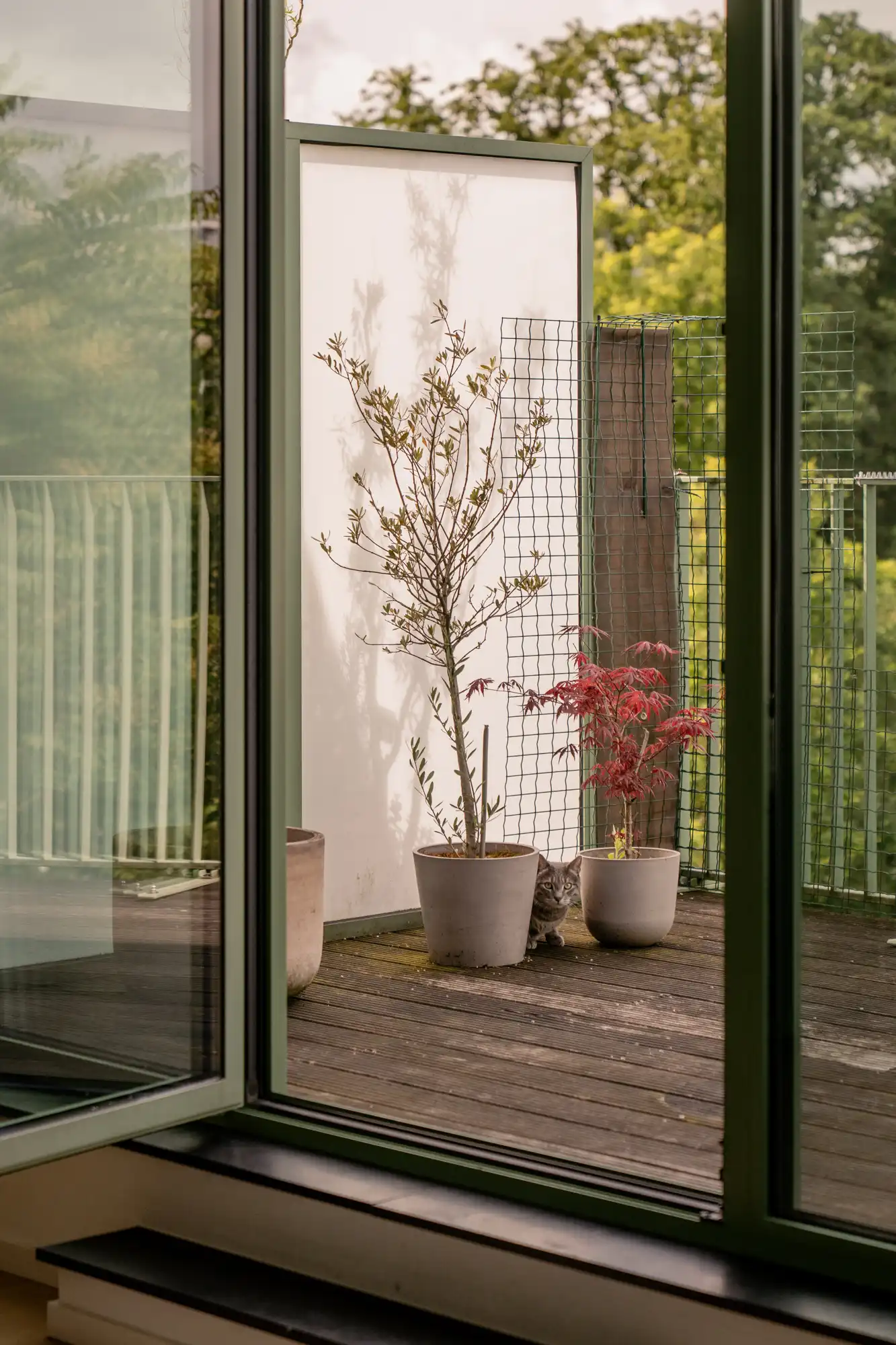 Hedendaagse architectuur ontmoet historisch Zurenborg in project Belle Epoque. foto 4