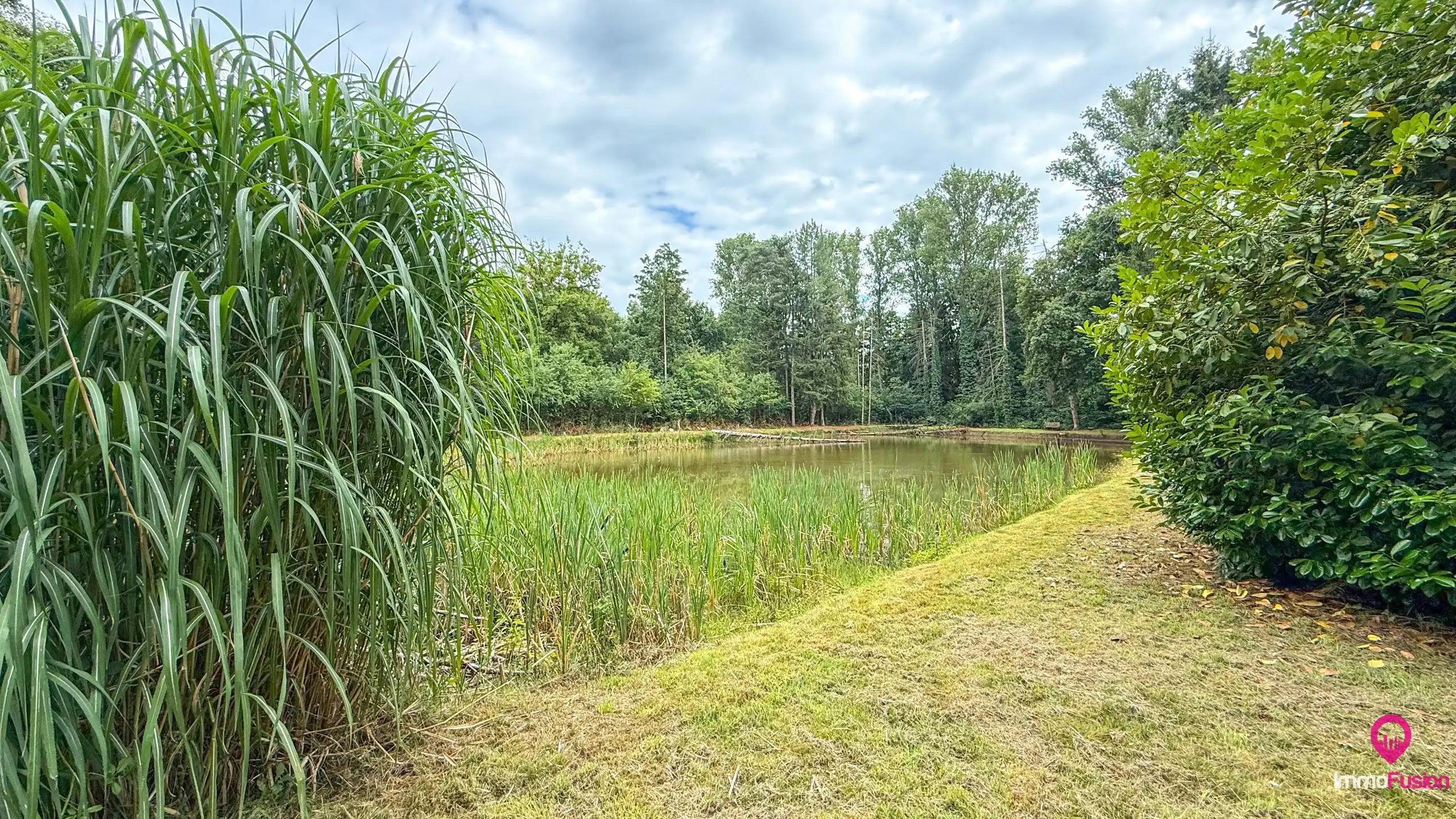 Droom buitenverblijf in Hasselt voor natuurliefhebbers!  foto 38