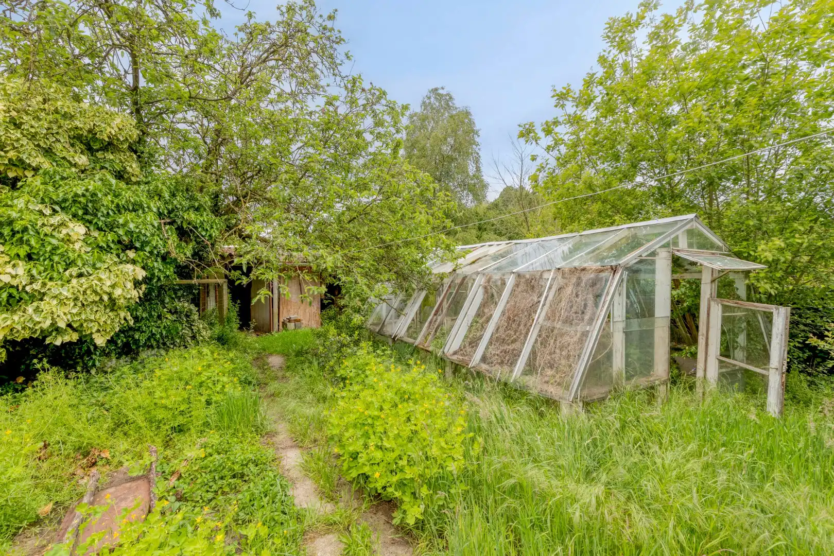 Te renoveren woning, rustig gelegen op een zonnig perceel van 767 m² te Olen-Centrum ! foto 34